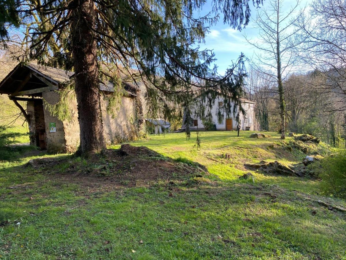 Le Tilleul De Bressolles Brassac (Tarn) Exterior foto