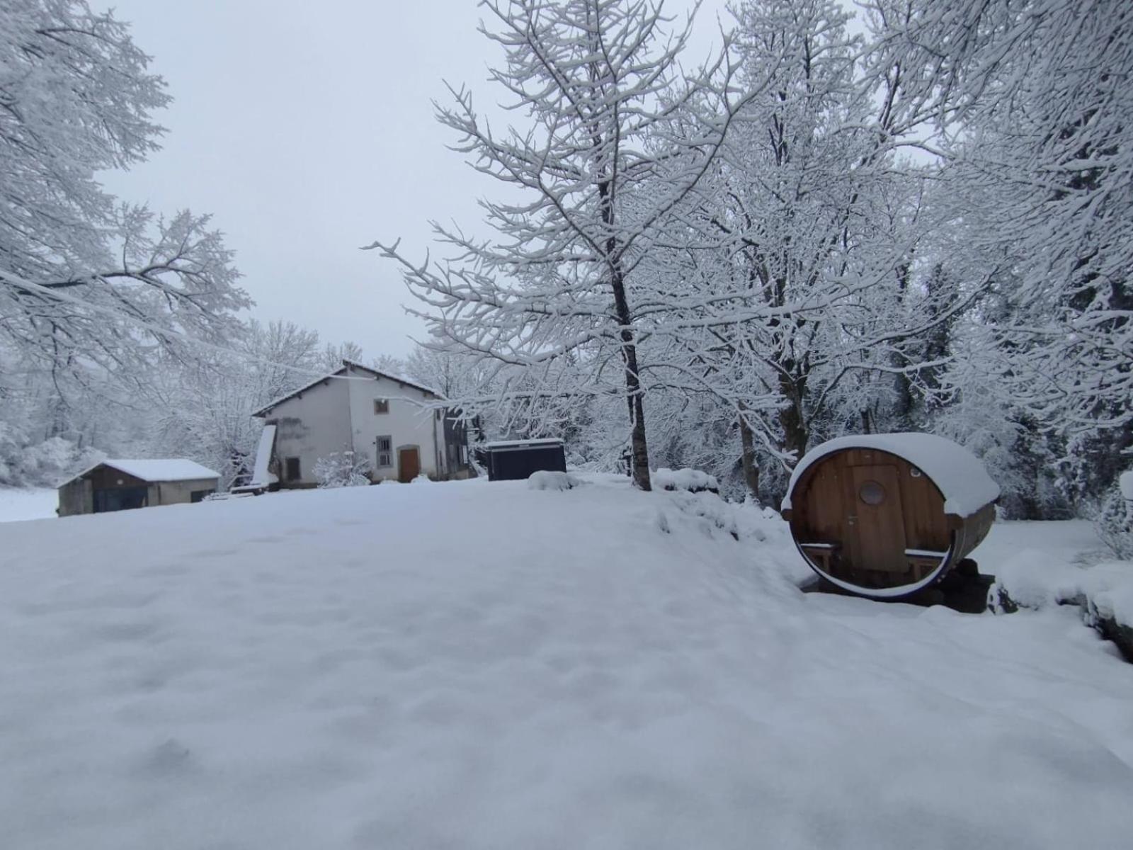 Le Tilleul De Bressolles Brassac (Tarn) Exterior foto
